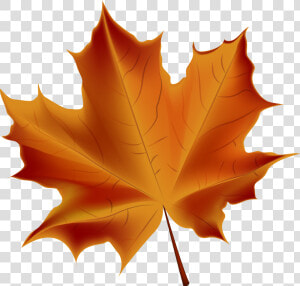 Leaves Clipart Autum Leaves  HD Png Download