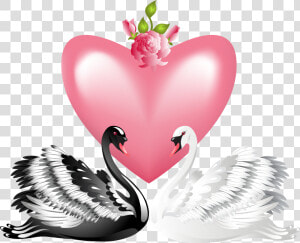 Valentine S Day Love Swans Transparent Png Clip Art   Black Swan And White Swan Art  Png Download