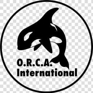 Orca International Logo Png Transparent   Killer Whale  Png Download