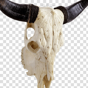 Horn antler fur animal Figure bovine cow goat Family skull natural   Ox  HD Png Download