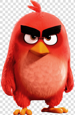 Clip Art Czerwony Red Pinterest And   Red Angry Birds Pelicula  HD Png Download