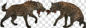 Spotted Hyena  HD Png Download