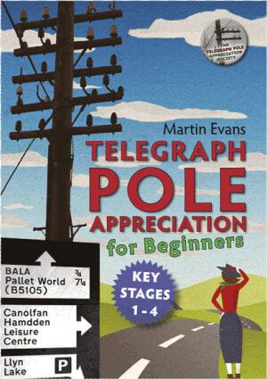 Telegraph Pole Appreciation For Beginners  HD Png Download