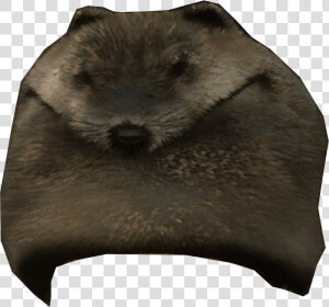 Beaver Mountain Hat min   Cushion  HD Png Download