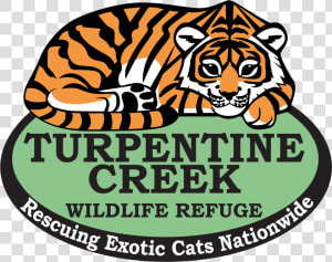 Turpentine Creek Wildlife Refuge  HD Png Download