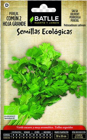 Semillas De Lechuga Mantecosa  HD Png Download