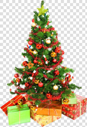 Xmas Tree Png 12 By Iamszissz   White Background Christmas Tree  Transparent Png