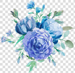  acuarelas  rosasazules   Blue Peonies Background  HD Png Download