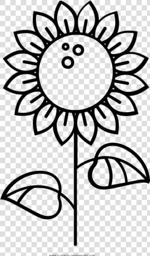 Sunflower Coloring Page   Asp Convent English High School Logo  HD Png Download