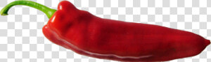 Chilli   Png Download   Tabasco Pepper  Transparent Png