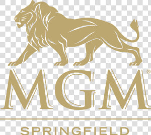 Mgm Springfield Ma Logo  HD Png Download