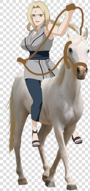 Whitehorse Png  Transparent Png