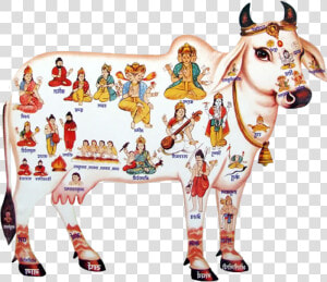 Krishna Clipart Gomatha   Krishna With Cow Png  Transparent Png