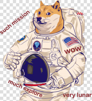 Transparent Doge Png Transparent   Doge  Png Download