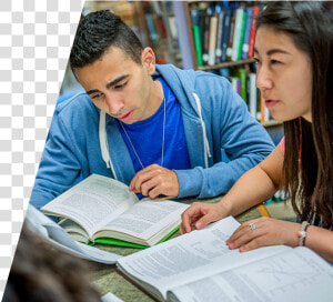 Reading   Png Download   Students Studying Png  Transparent Png