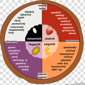 Temperament Pie Chart According To Eysenck   Temperament Chart  HD Png Download