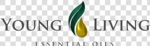 Young Living Essential Oil Review   Young Living Oil Logo Png  Transparent Png