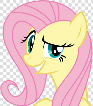 Pony Friendship Is Magic Fluttershy  HD Png Download