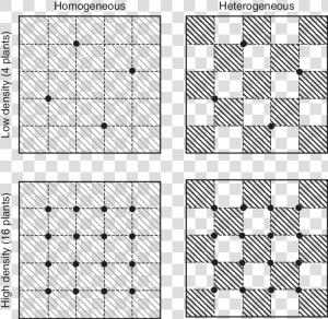 Squares Design Png  Transparent Png