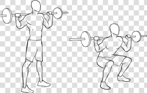 Squat   Png Download   Powerlifting  Transparent Png