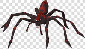 Tarantula  HD Png Download