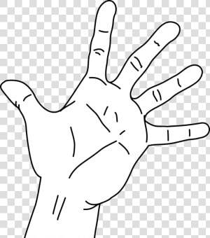 Hand Span Measurement Clipart  HD Png Download