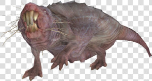 Encmolerat04   Mole Rat From Fallout  HD Png Download