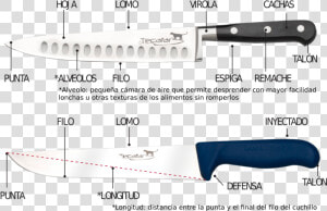 Partes De Un Cuchillo   Bowie Knife  HD Png Download