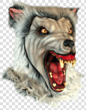 Snow Wolf Mask   Mascara Hombre Lobo Png  Transparent Png