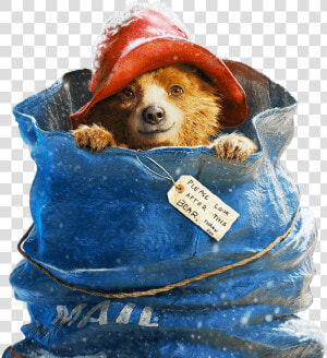 Paddington Hero   Paddington Bear In A Sack  HD Png Download