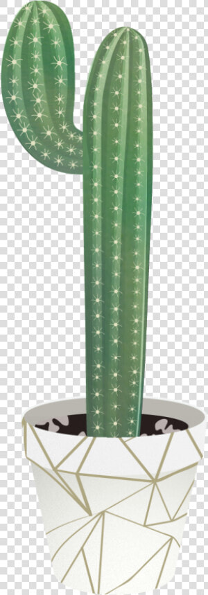 Transparent Cactus Vector Png   San Pedro Cactus  Png Download