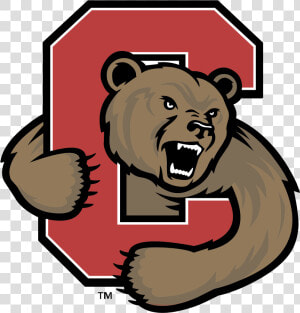 Cornell Big Red Logo Png Transparent   Cornell Big Red  Png Download