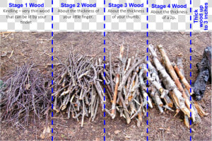 Transparent Wood Pile Png   Different Stages Of Wood  Png Download