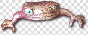 Bufo  HD Png Download