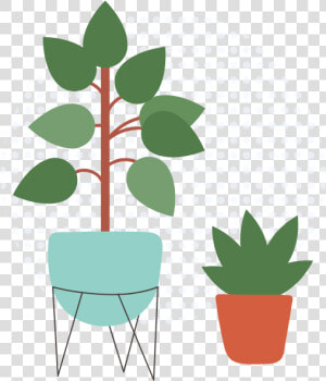 Plants   Flowerpot  HD Png Download