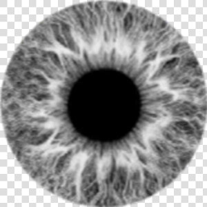  grey  lens  eye  eyes  moon  gri  lens  göz   Gray Eye Lens Png  Transparent Png