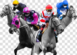 Transparent Horse Racing Png   Horse Racing Transparent  Png Download