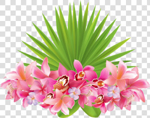 Hawaii Clipart Hawaiian Flower   Tropical Flowers Transparent Background  HD Png Download