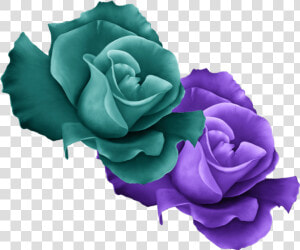  mq  green  purple  rose  roses  flowers  flower  garden   Violet And Green Rose  HD Png Download