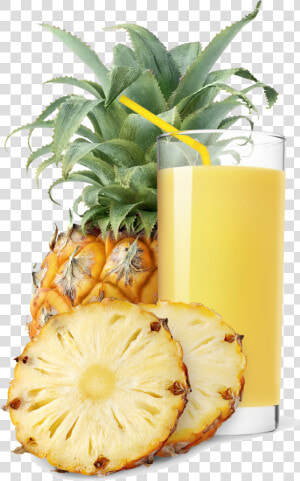 Transparent Pineapple Png   Plug N Play Exotic  Png Download