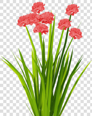 Cartoon Grass And Flowers Png   Flower Grass Texture Png  Transparent Png