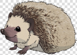 Download Hedgehog Png Transparent Images Transparent   Hedgehog  Png Download