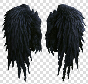 Black Wings Png Image   Realistic Black Angel Wings Png  Transparent Png