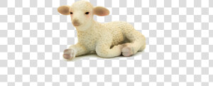 Lamb Lying Down Png   Png Download   Toy Sheep Transparent Background  Png Download