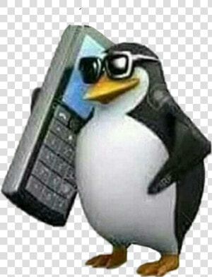  pinguim  meme  shitpost   Penguin With A Phone  HD Png Download