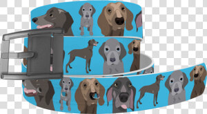 Weimaraner Png  Transparent Png