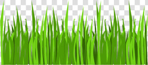 Grass Png Vector   Png Download   Vector Transparent Grass Png  Png Download