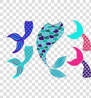 Mermaid Tail Finest Instant Tails Bundle Clipart Ne   Free Clipart Mermaid Tails  HD Png Download