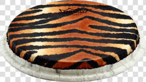 Remo Tucked Skyndeep Bongo Drumhead tiger Stripe Graphic   HD Png Download