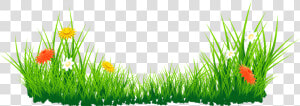 Green Grass Clipart Clipart   Grass Png Hd Images Download  Transparent Png